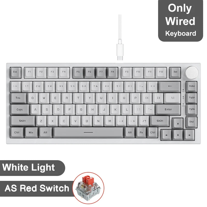 Teclado Mecânico Sem Fio AJAZZ AK820 Pro – Bluetooth 5.1, 2.4G, USB-C, RGB, Hot Swap, Gasket Mount